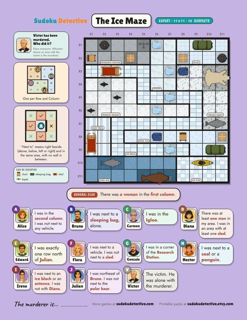 The Ice Maze